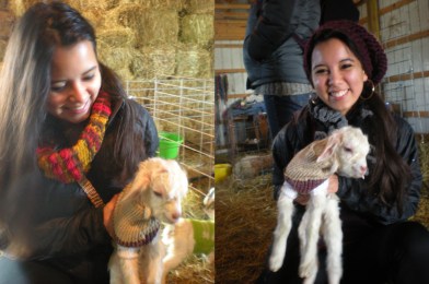 Helen and Nidia carrying newborn baby goats