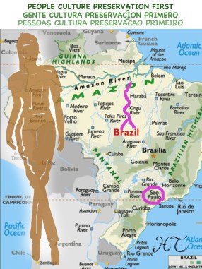 Xingu River in relation to Sao Paulo highlighted in pink