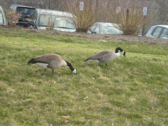 Ithaca New York April 2013