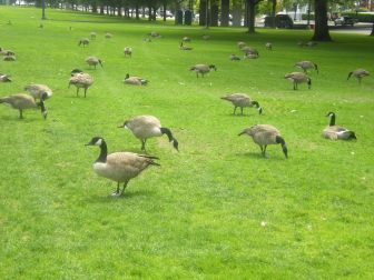 Portland Oregon July 2011