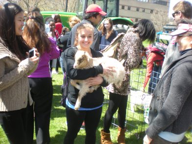 Holding baby goat Snickers from the Laughing Goat Fiber Farm