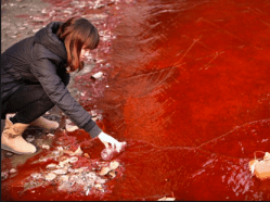 Screen shot 2013-04-13 at 2.25.07 PM