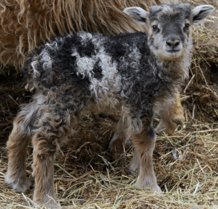 Screen shot 2013-04-23 at 3.31.54 PM