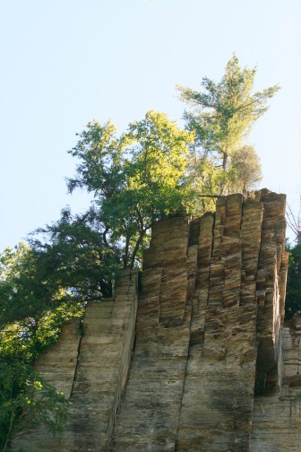 Photo Courtesy David Arellanes