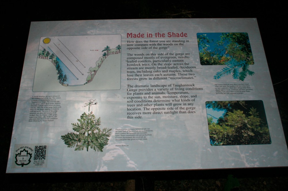 Taughaunook Falls infographic biodiversity; Photograph courtesy David Arellanes