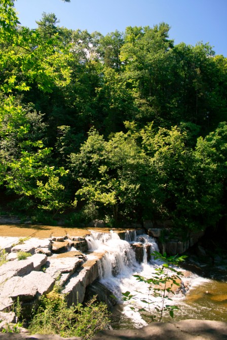 Photo Courtesy David Arellanes