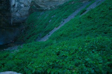 Green vegetation to the left of the waterfall; Photo Courtesy David Arellanes