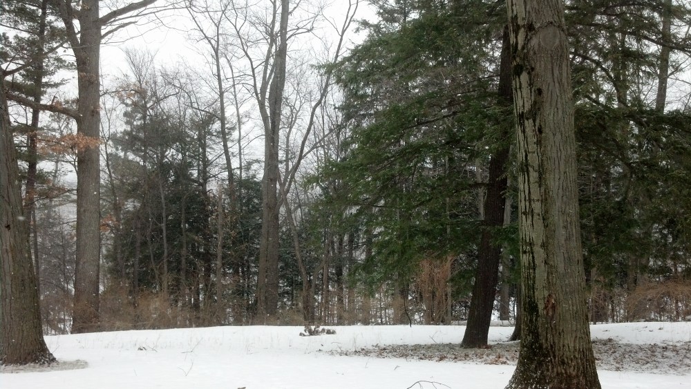 Ithaca Winter 2014; Photo Courtesy David Arellanes