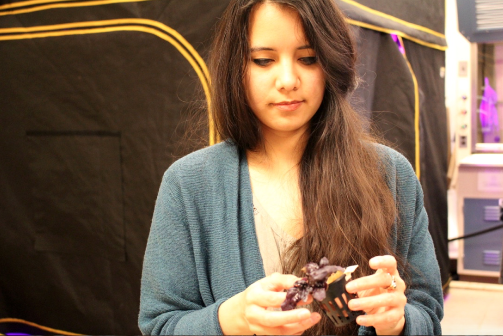 Screen Shot 2017-03-14 at 9.54.04 PM