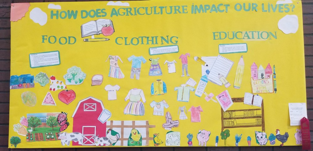 Clothing, food, education mural